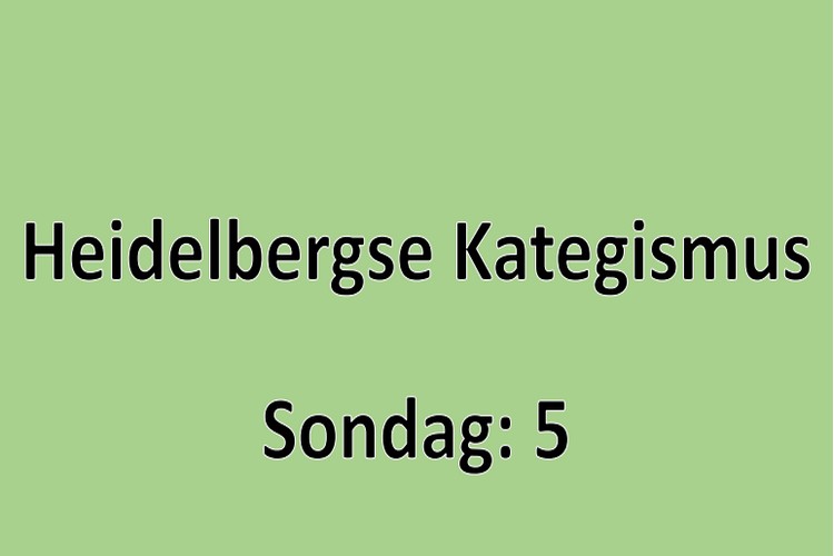 Sondag 1