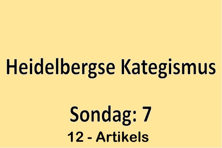 Sondag 7