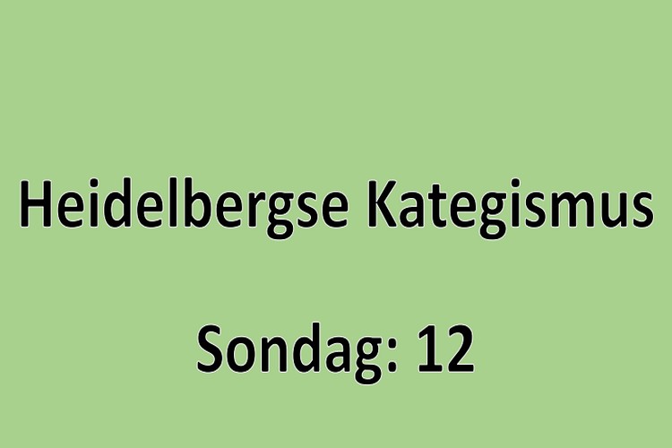 Sondag 1