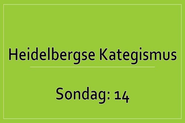 Sondag 1