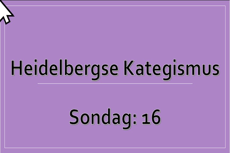 Sondag 1