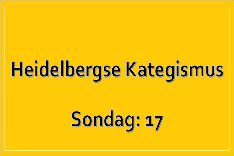 Sondag 1