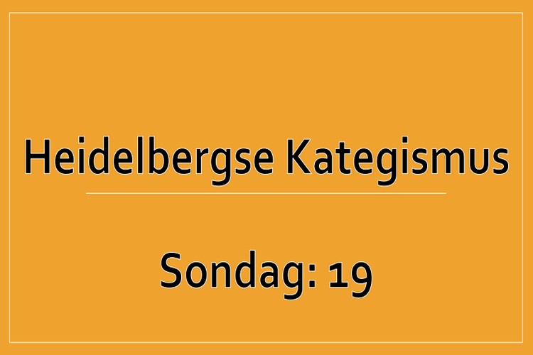 Sondag 1