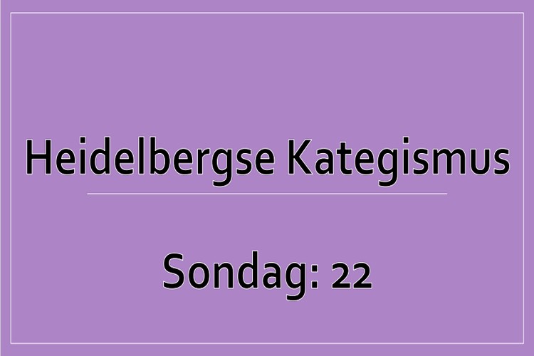 Sondag 1