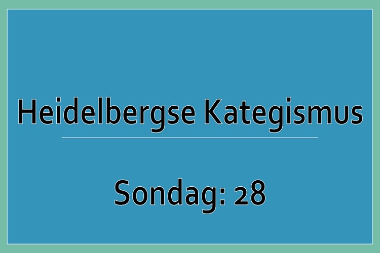Sondag 1
