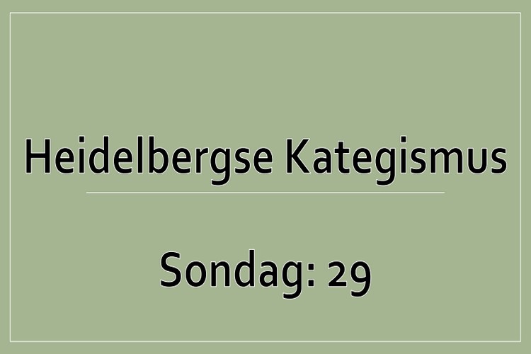 Sondag 1