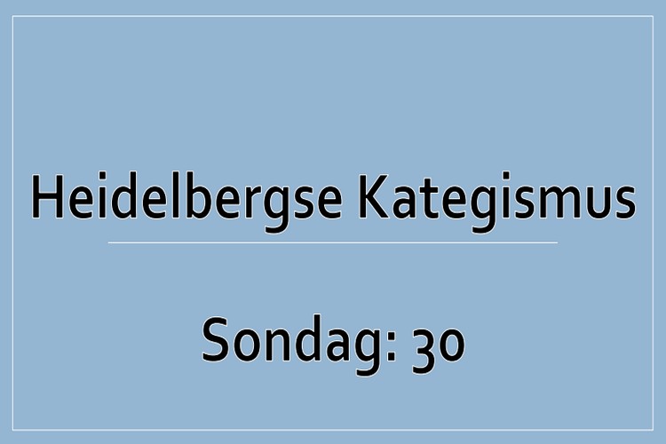 Sondag 1