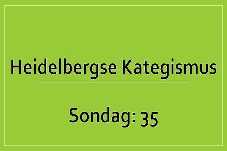 Sondag 1