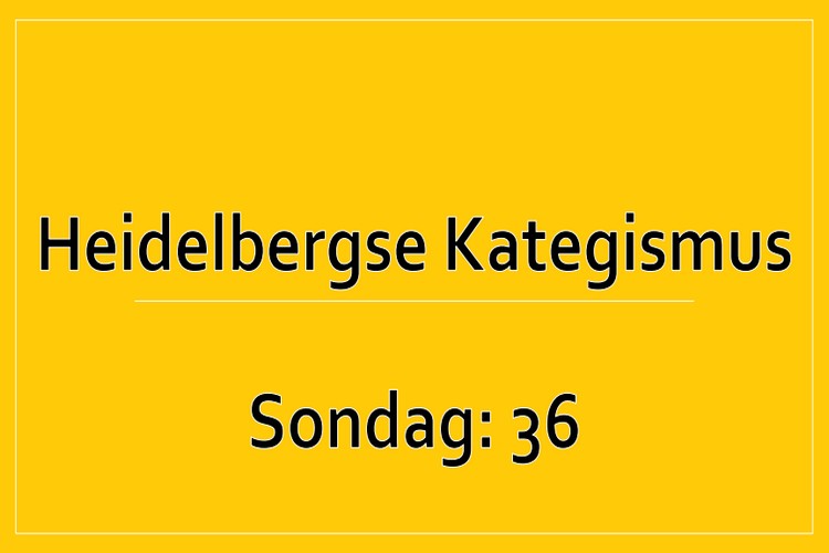Sondag 1