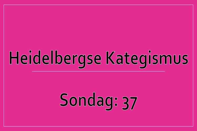 Sondag 1