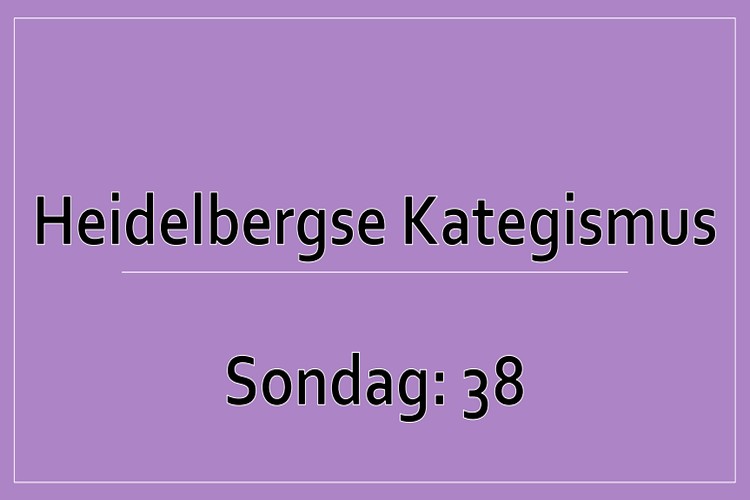 Sondag 1