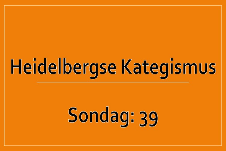 Sondag 1