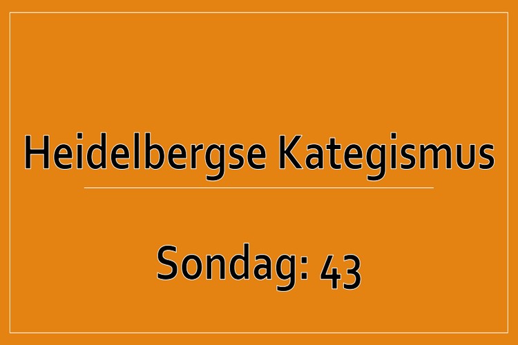 Sondag 1