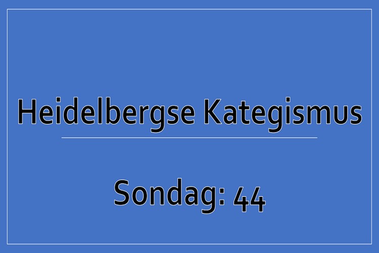 Sondag 1