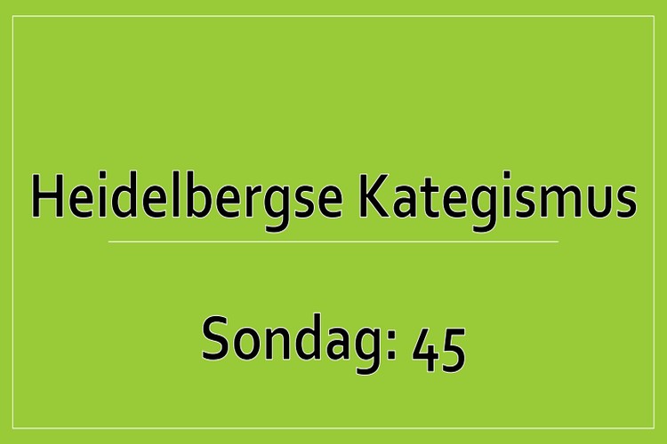 Sondag 1