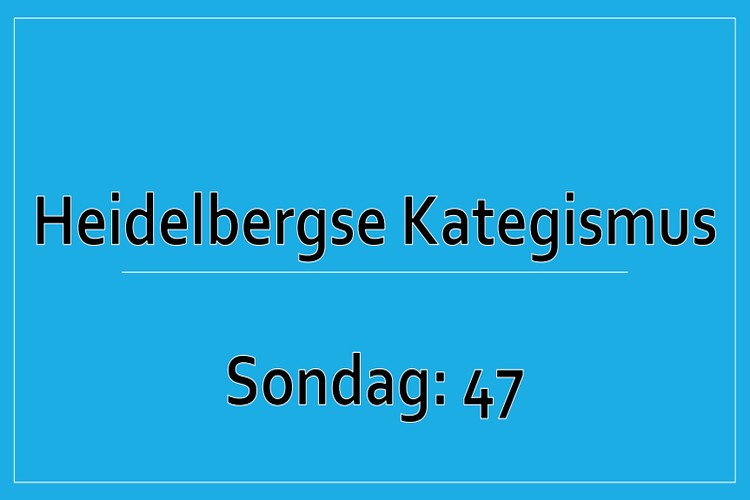 Sondag 1