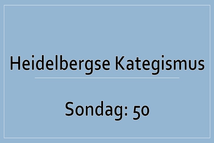 Sondag 1