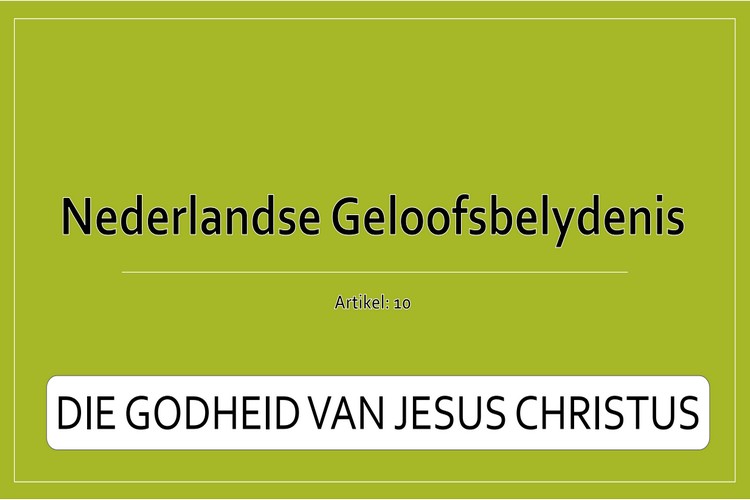 Artikel 10