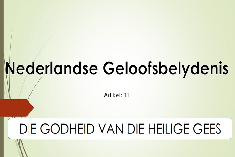 Artikel 11