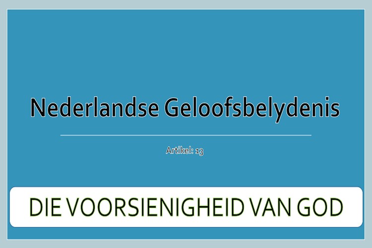 Artikel 13