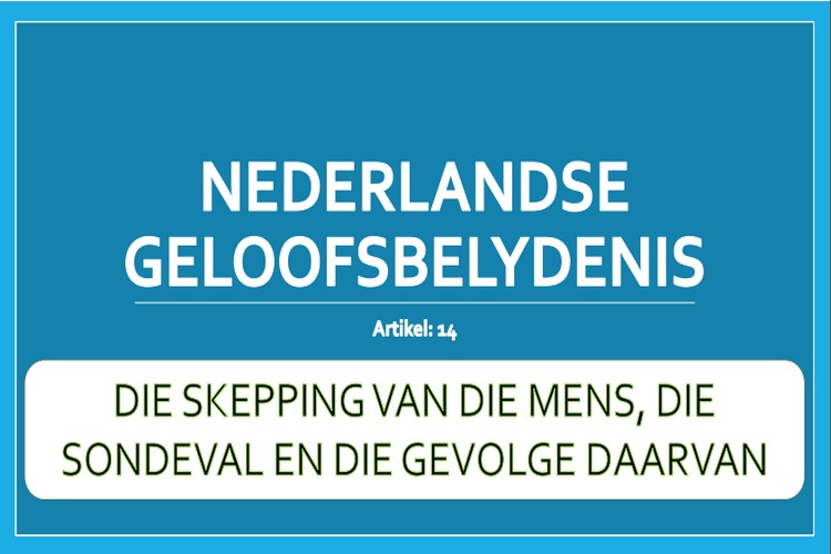 Artikel 14