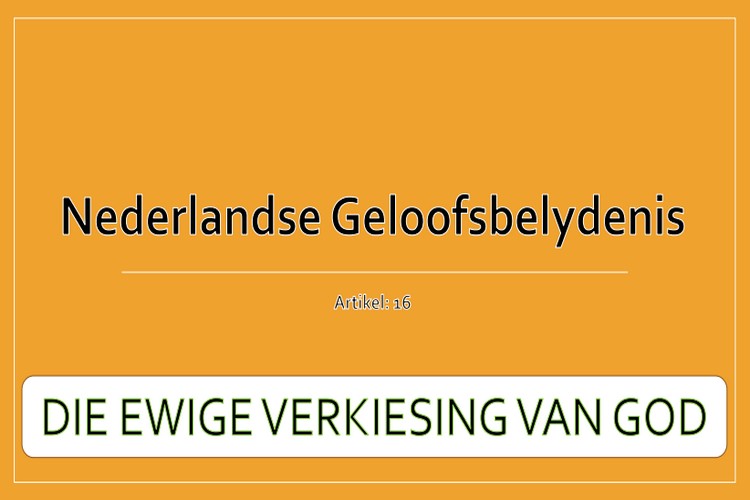 Artikel 16