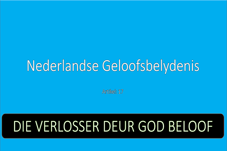 Artikel 17
