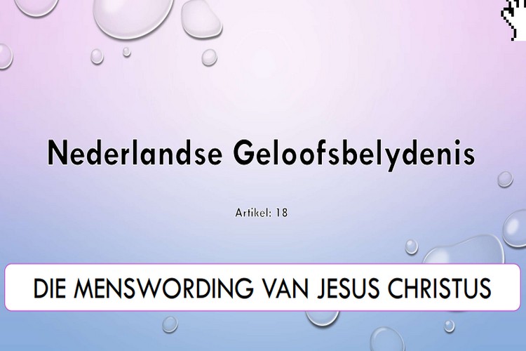 Artikel 18