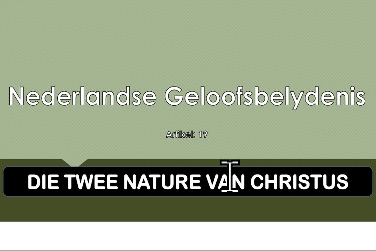 Artikel 19