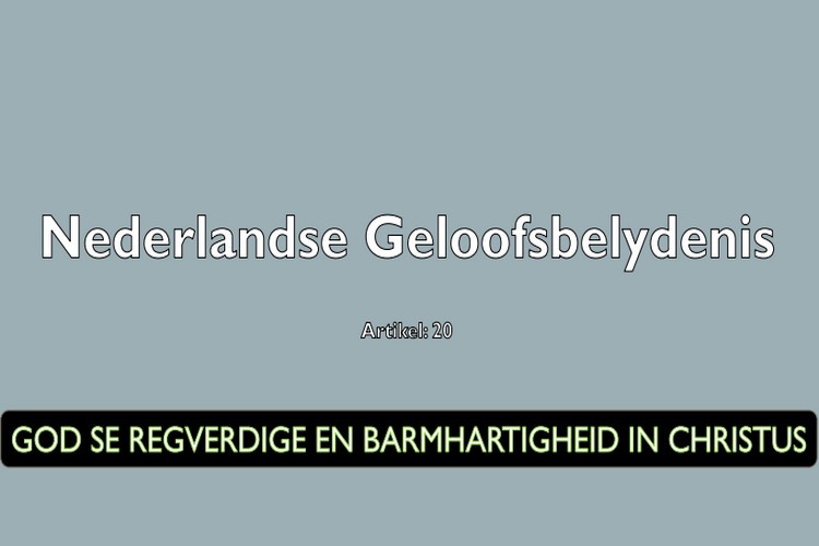 Artikel 20