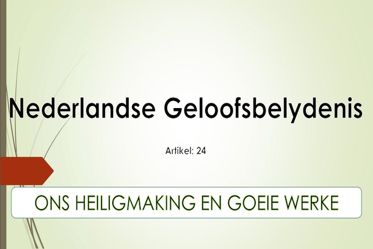 Artikel 24