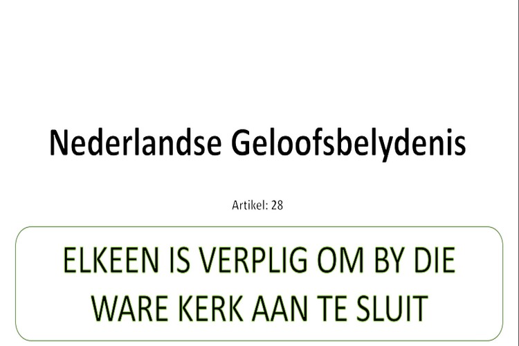 Artikel 28