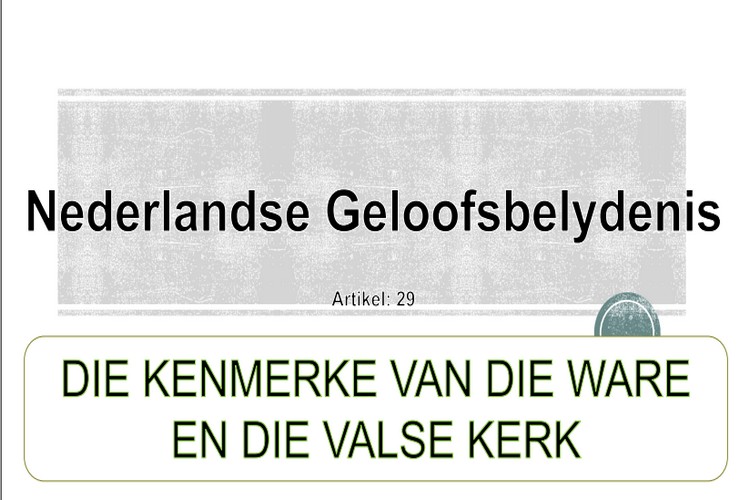 Artikel 29