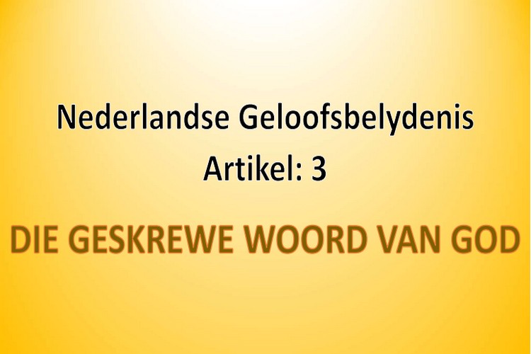 Artikel 3