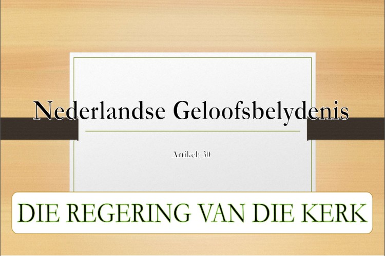 Artikel 30