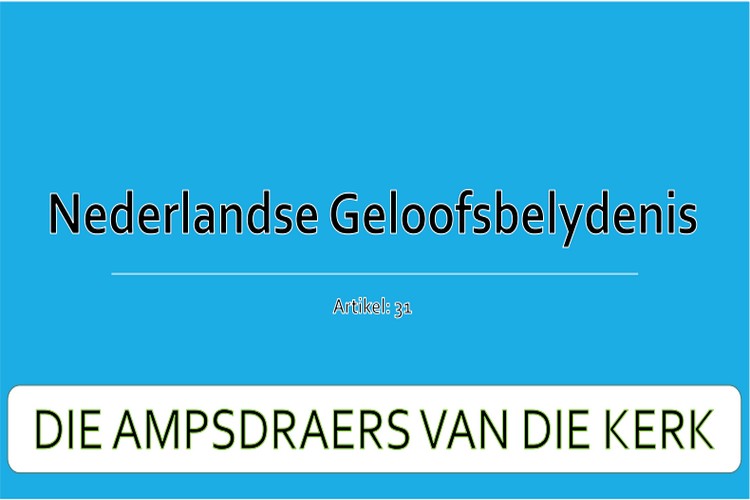 Artikel 31