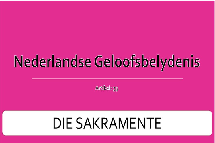 Artikel 33