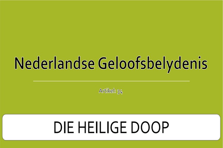 Artikel 34