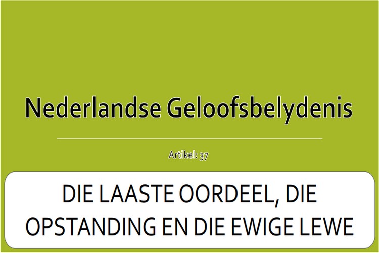 Artikel 37