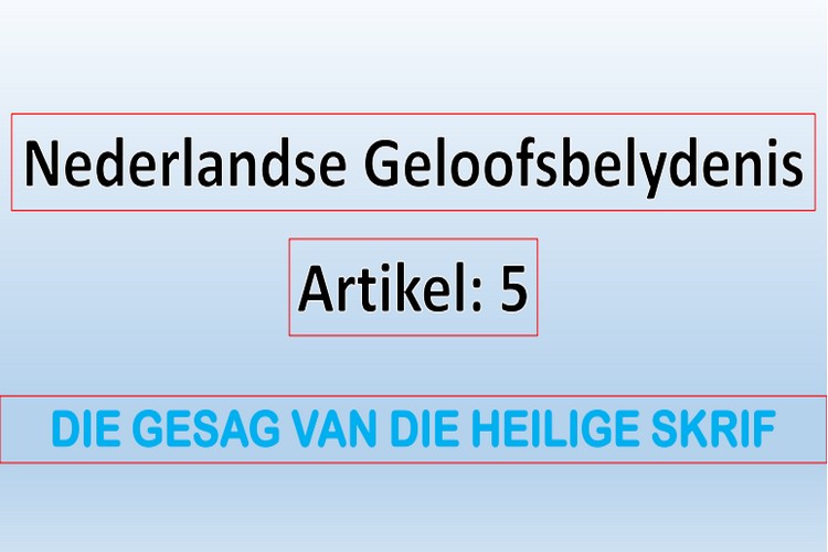Artikel 5