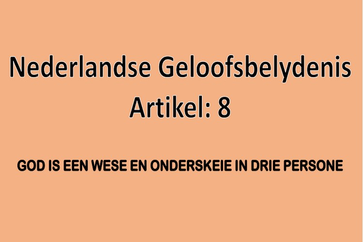 Artikel 8